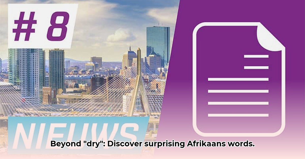 minder-gangbaar-woord-voor-droog